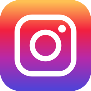 icone-instagram