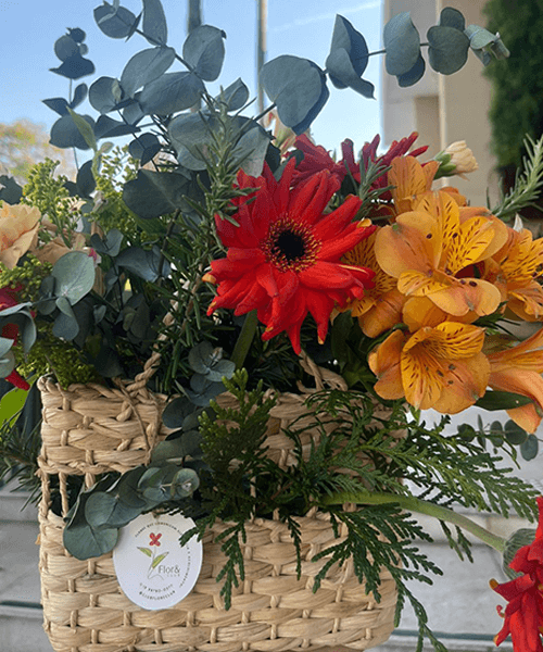 foto flores